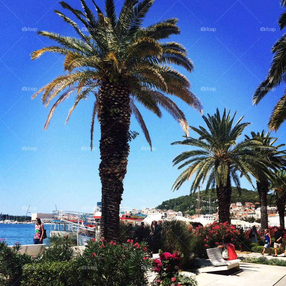 Croatian paradises. Boardwalk and harbor in split, Croatia 