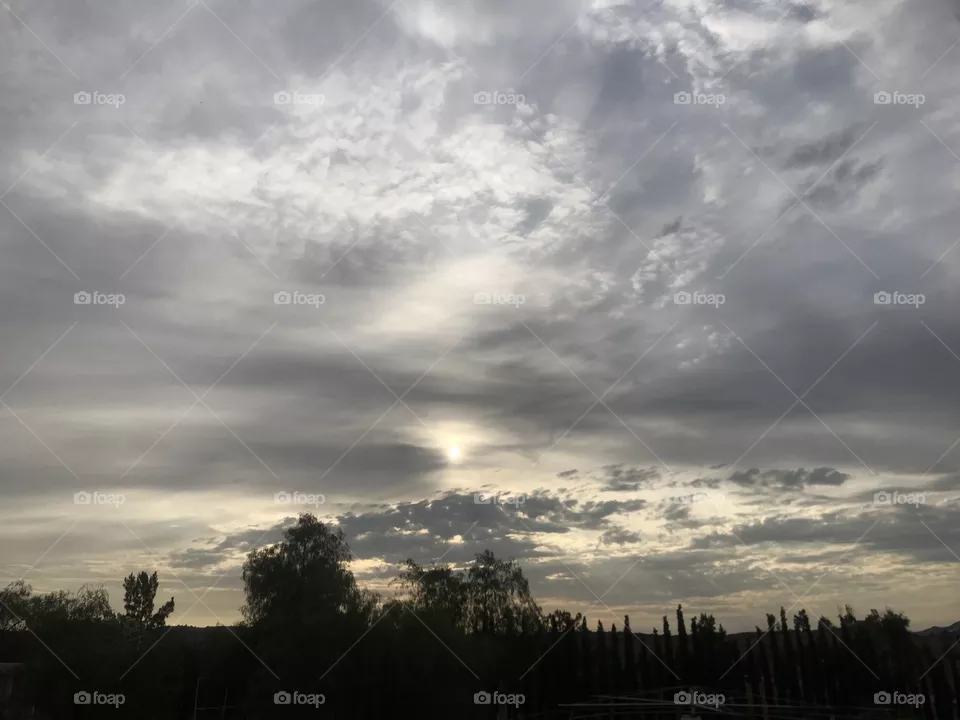 Sky