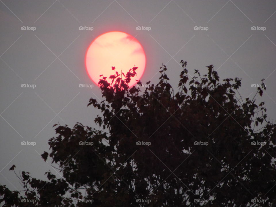 Red halo sun