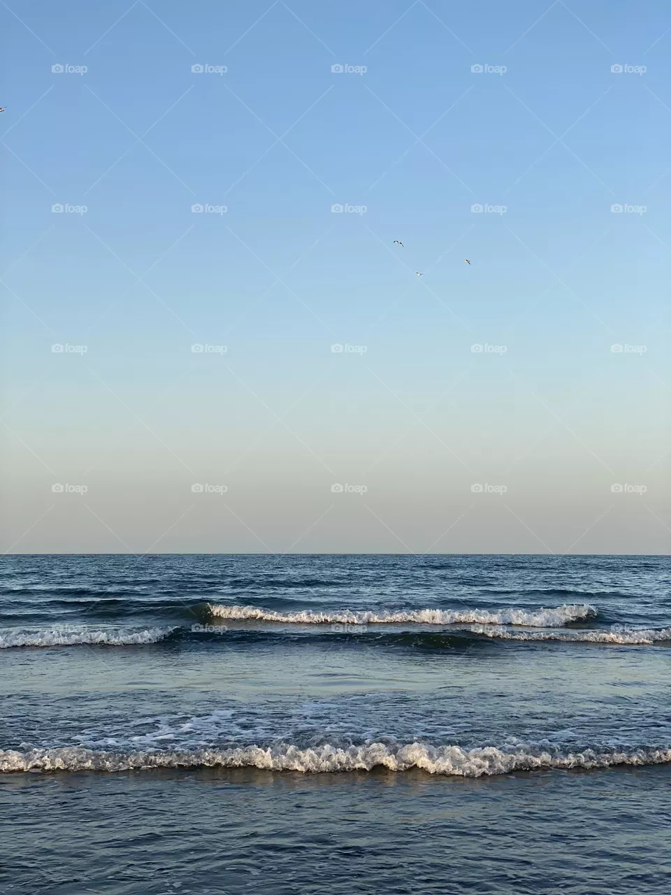 Waves
