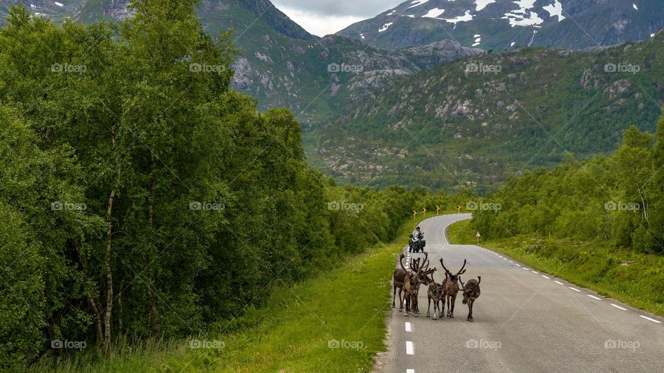 Road trip to Lofoten (Norway) 