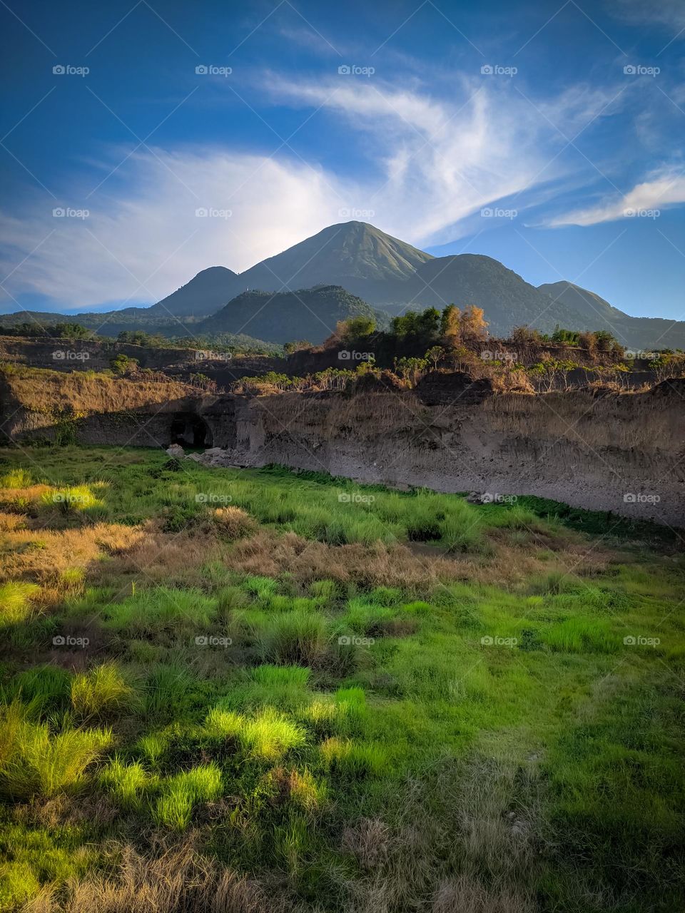 very refreshing greenery in the mountainous region