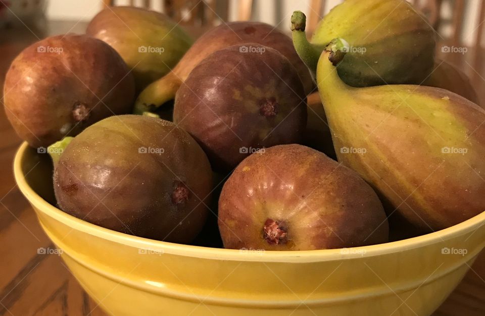Fig - extravaganza 