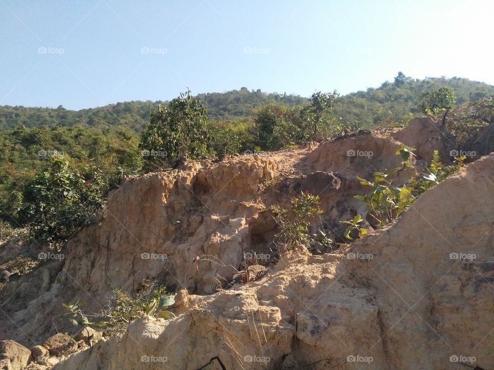 The plateau terrain of hill paintings where many plants are planted.