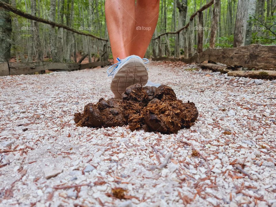 Male legs and feet in the foreground are about to trample animal dung