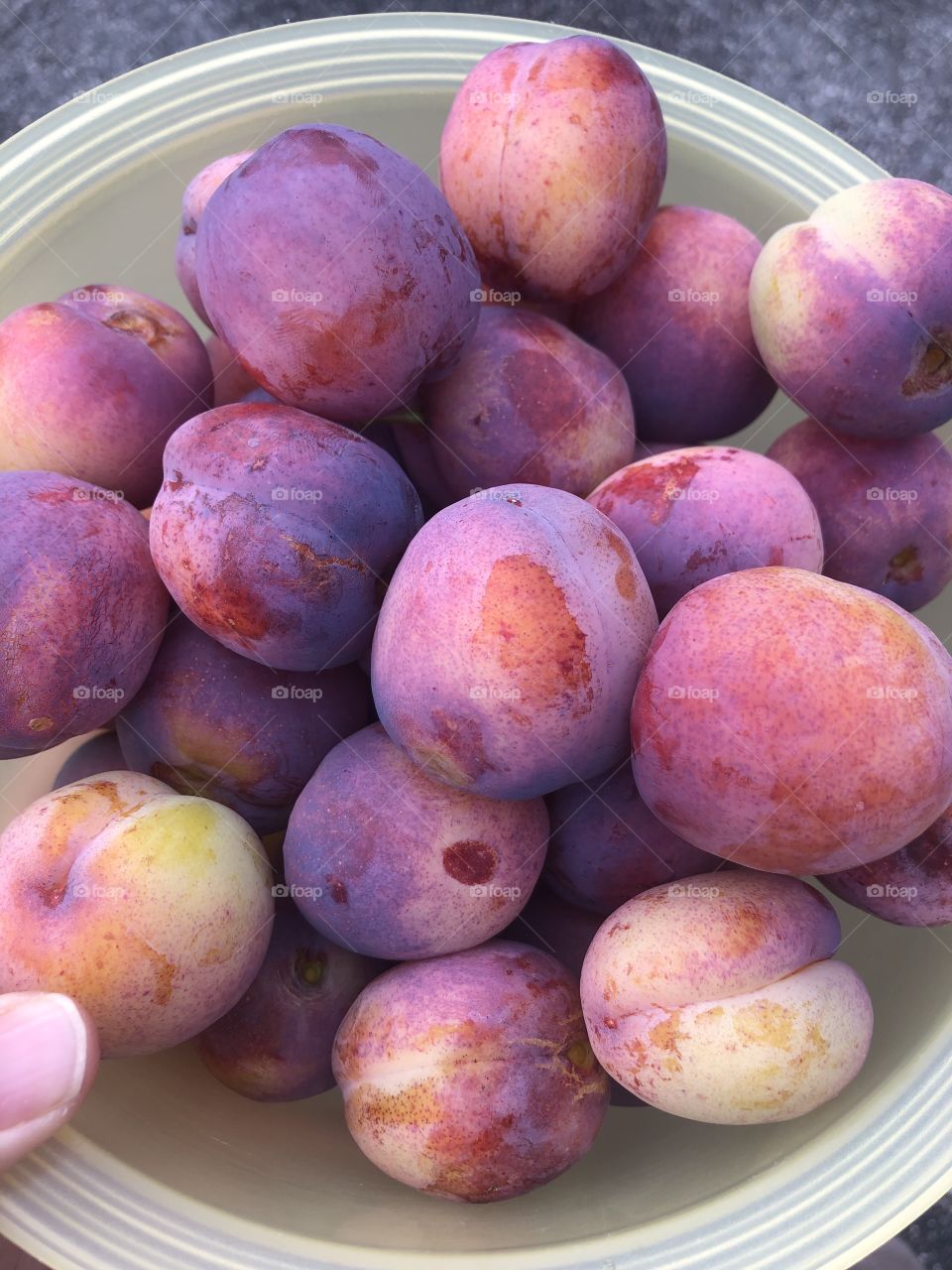 Plums