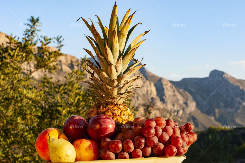 Autumn still life