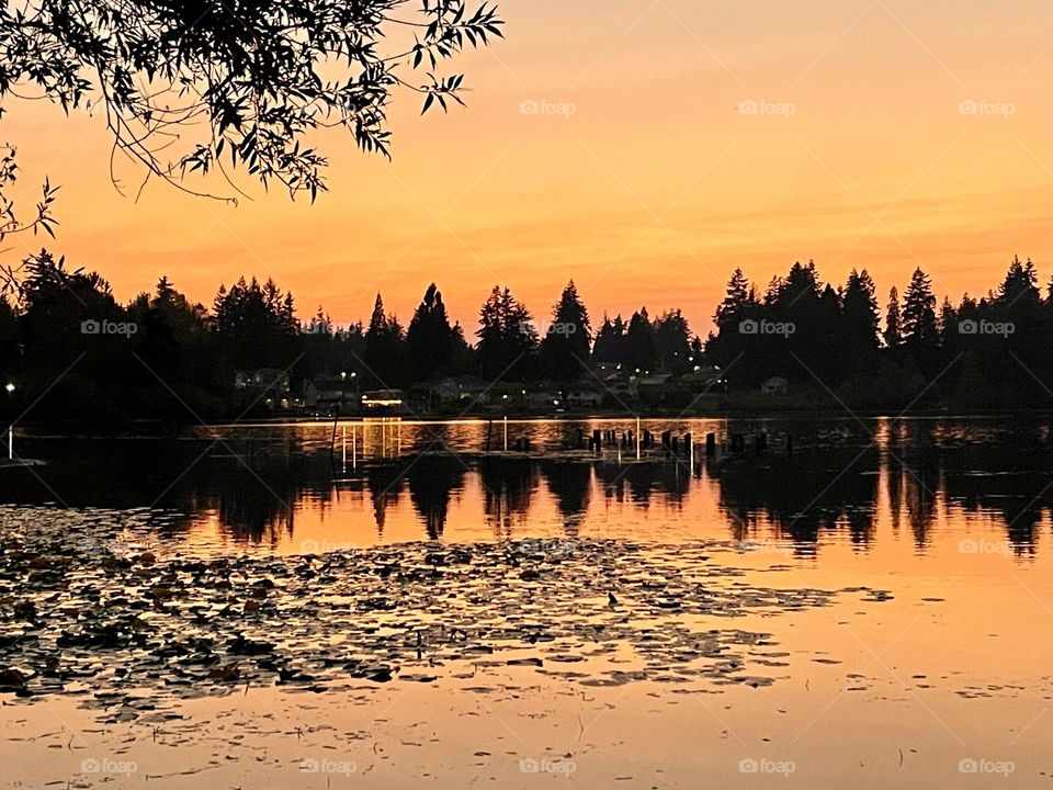 Orange sunset on the lake