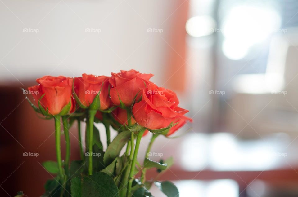 Top view of beautiful blooming flowers in a vase close up. Red roses at home