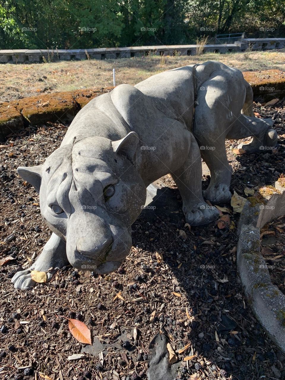 Keeping the neighbors wondering 