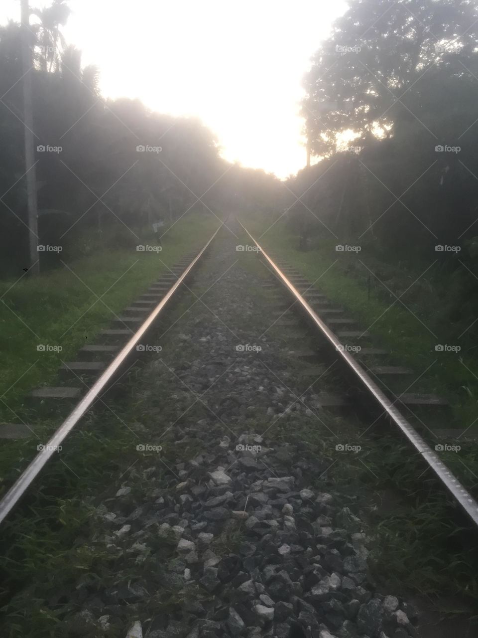 Srilankan railway established by British government 