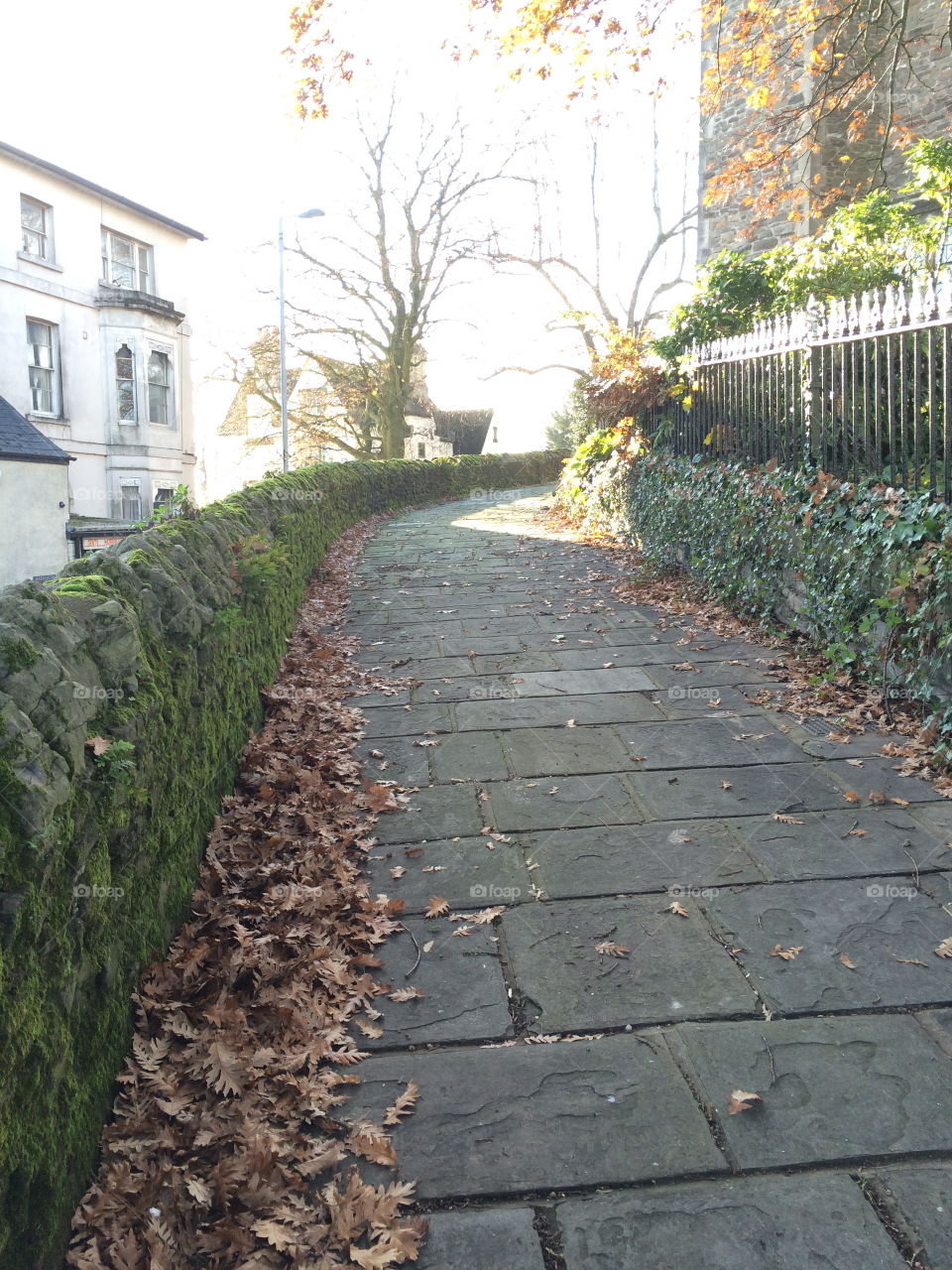 No Person, Road, Guidance, Garden, Pavement