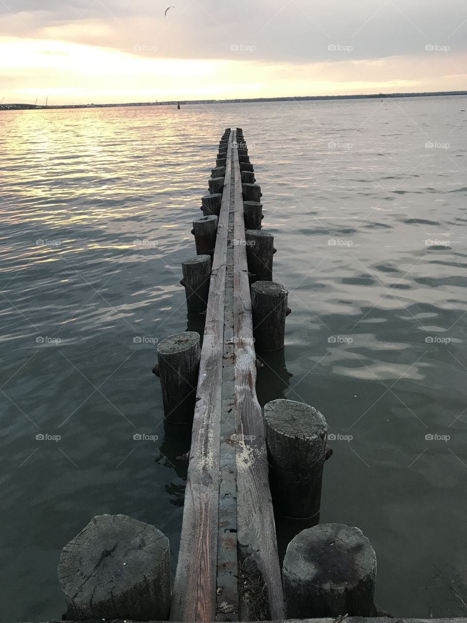 Water, No Person, Pier, Dawn, Outdoors