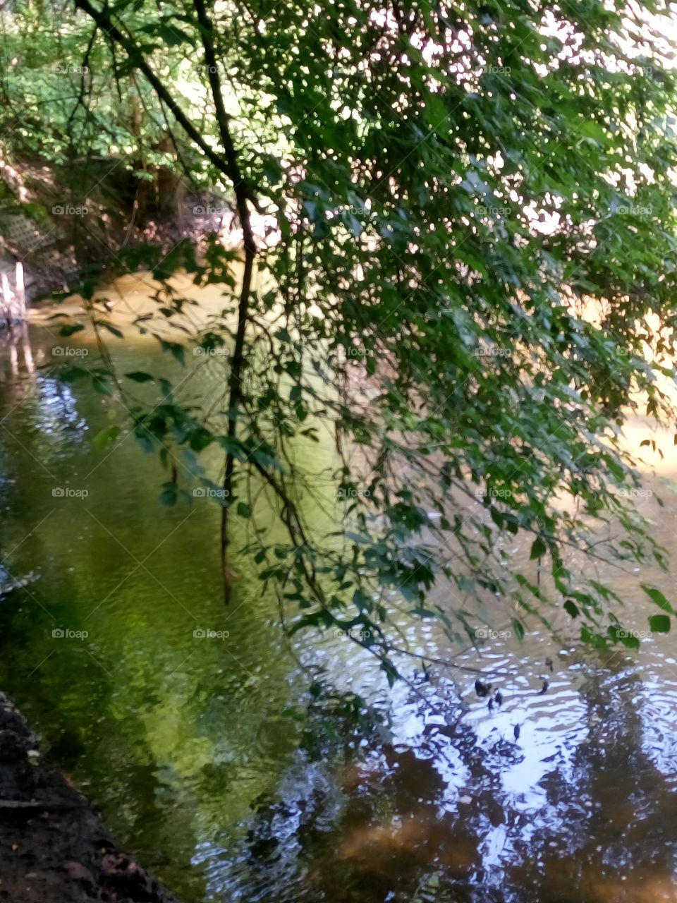 polish nature, reflections in a river