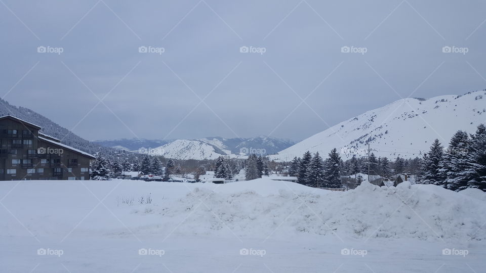 a vast landscape of snow adorned nature.