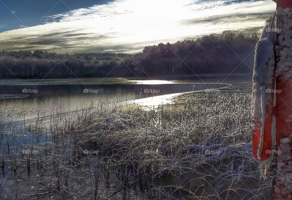 Winter lake with icy lifebuoy and frosty grass