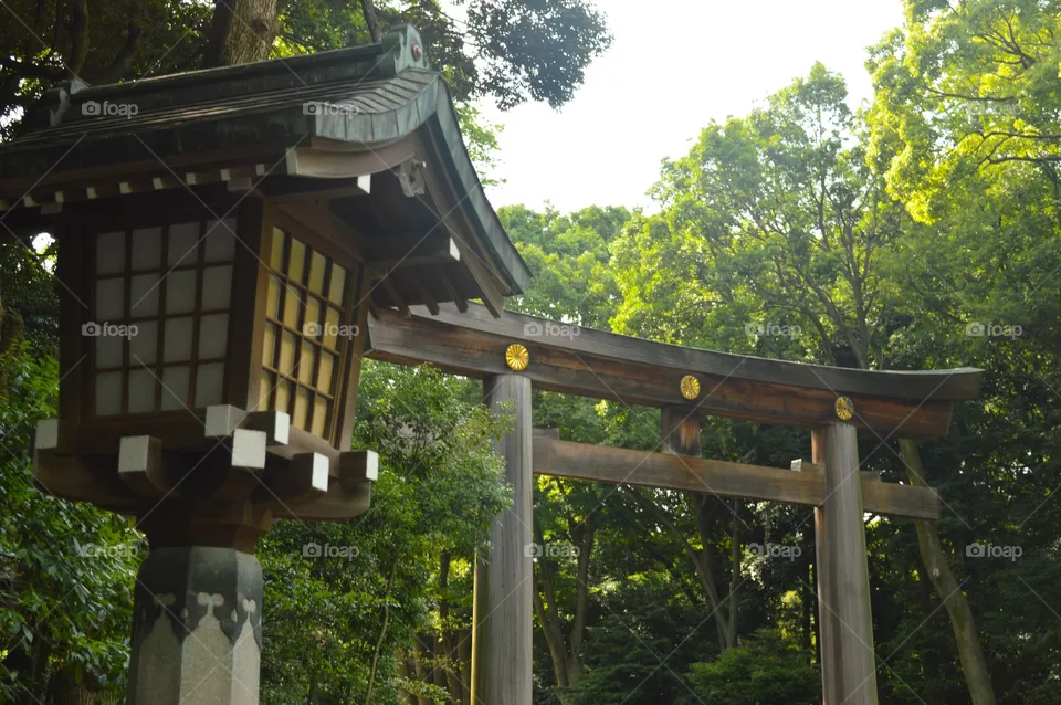 Tokyo Meiji 