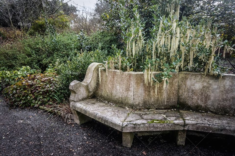 Faded garden bench with greenery, Christchurch Botanic Gardens, New Zealand 