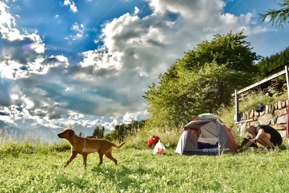 wild camping with dog in the alps.