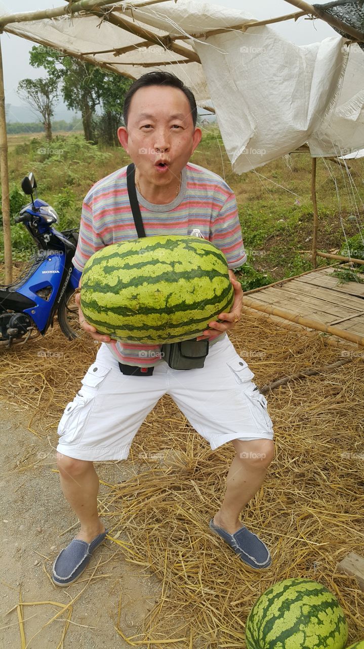 A big heavy water melon