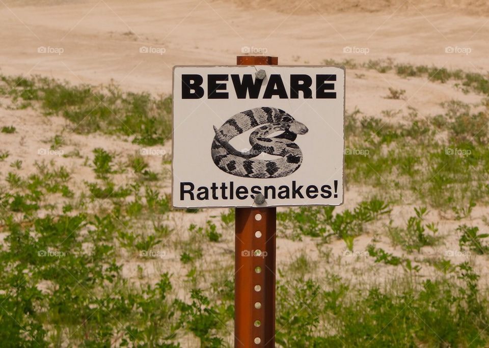 Trip to South Dakota