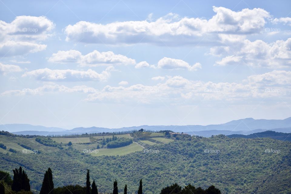 Montalcino - Tuscany - Italy 