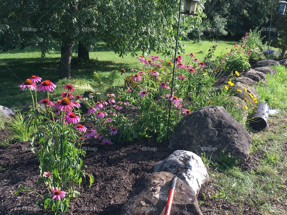 Finishing the big rock garden!