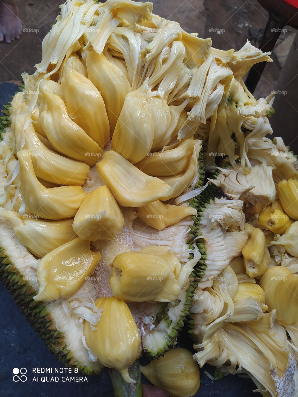 Jack fruit