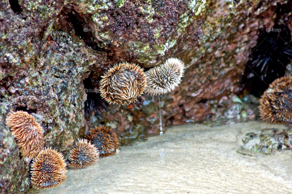 ocean water sea rocks by mmcook