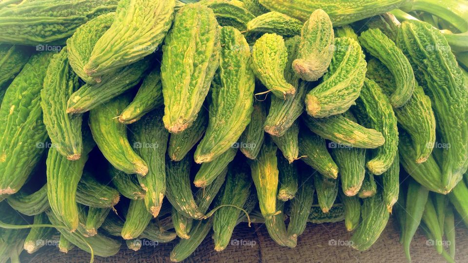 Natural Bitter Gourd UP India