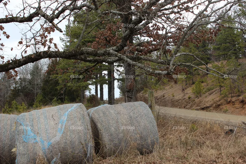 hay bales