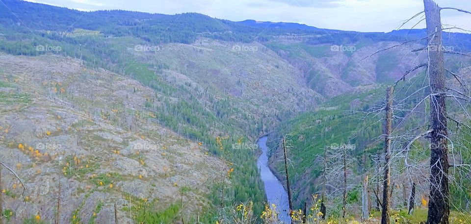 View of these mountains, valley ,and trees .