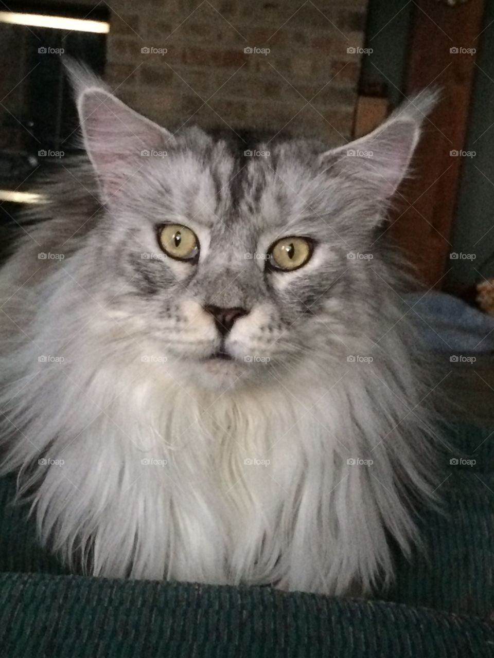 MalloyBoy looking sweet.