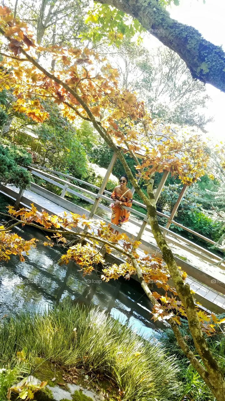 Blended with the trees