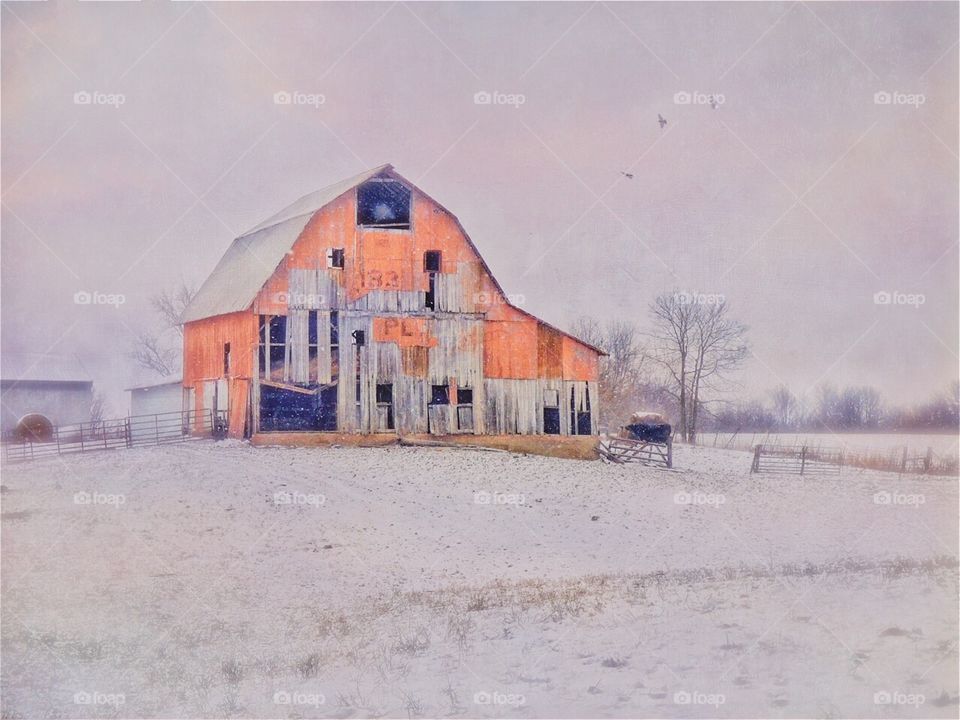 Winter old barn