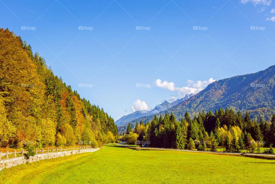 Landscape, No Person, Wood, Nature, Tree