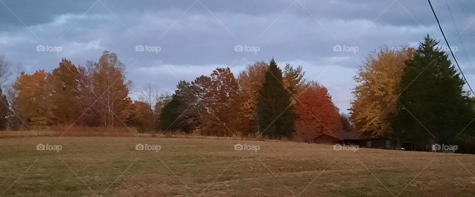 Fall in Virginia 