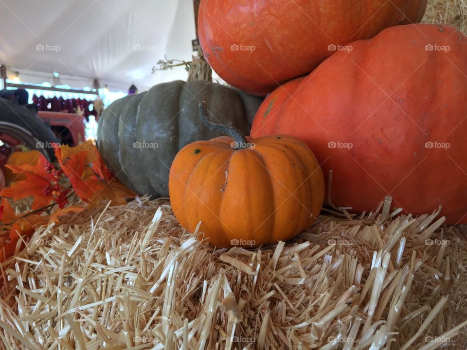 Pumpkins of different sizes on bale of hay at pumpkin patch