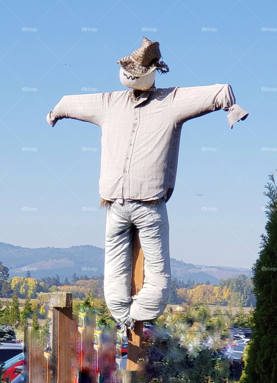 scarecrow