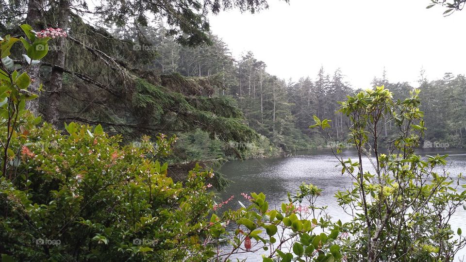 Lake Marie Trail.