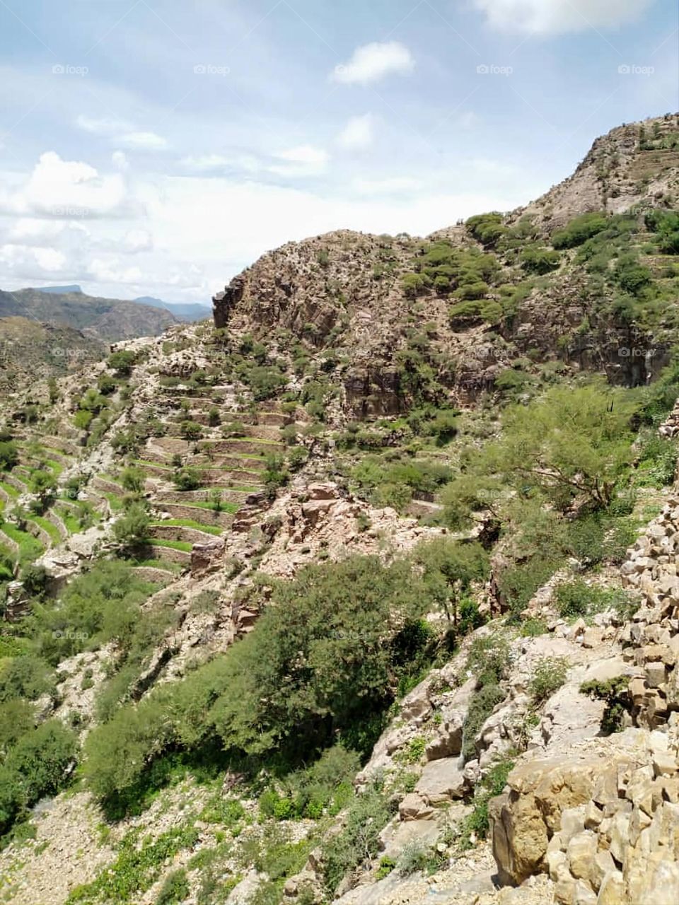 Glory be to God, the magnificent and picturesque view and the natural green trees are a view that is nothing more wonderful than it