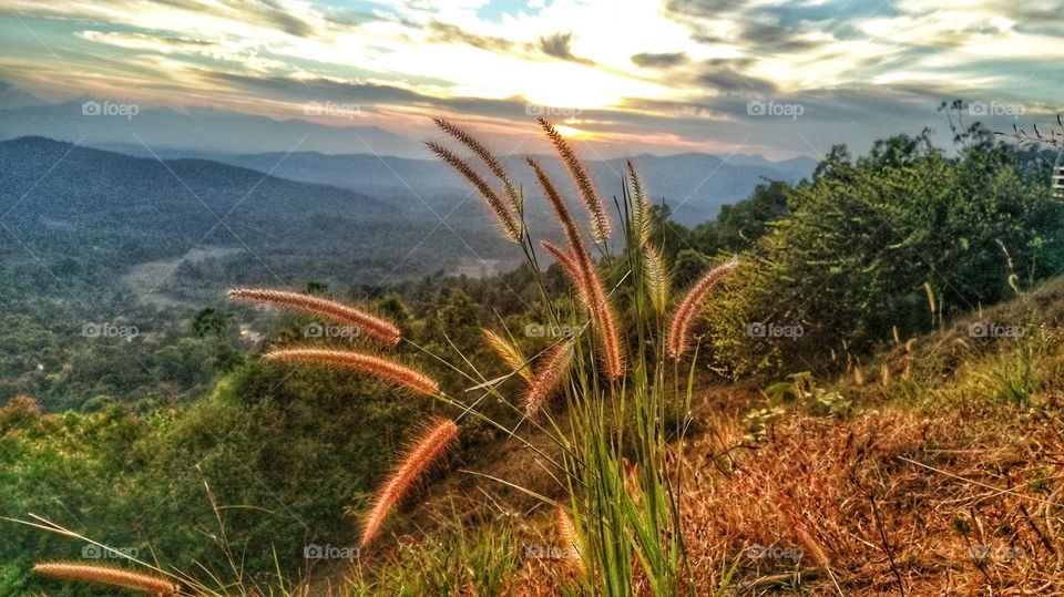 any body like this pic please buy to me.... i need money because i am poor.. but would you like this photo please buy to me.. my kind of requirement