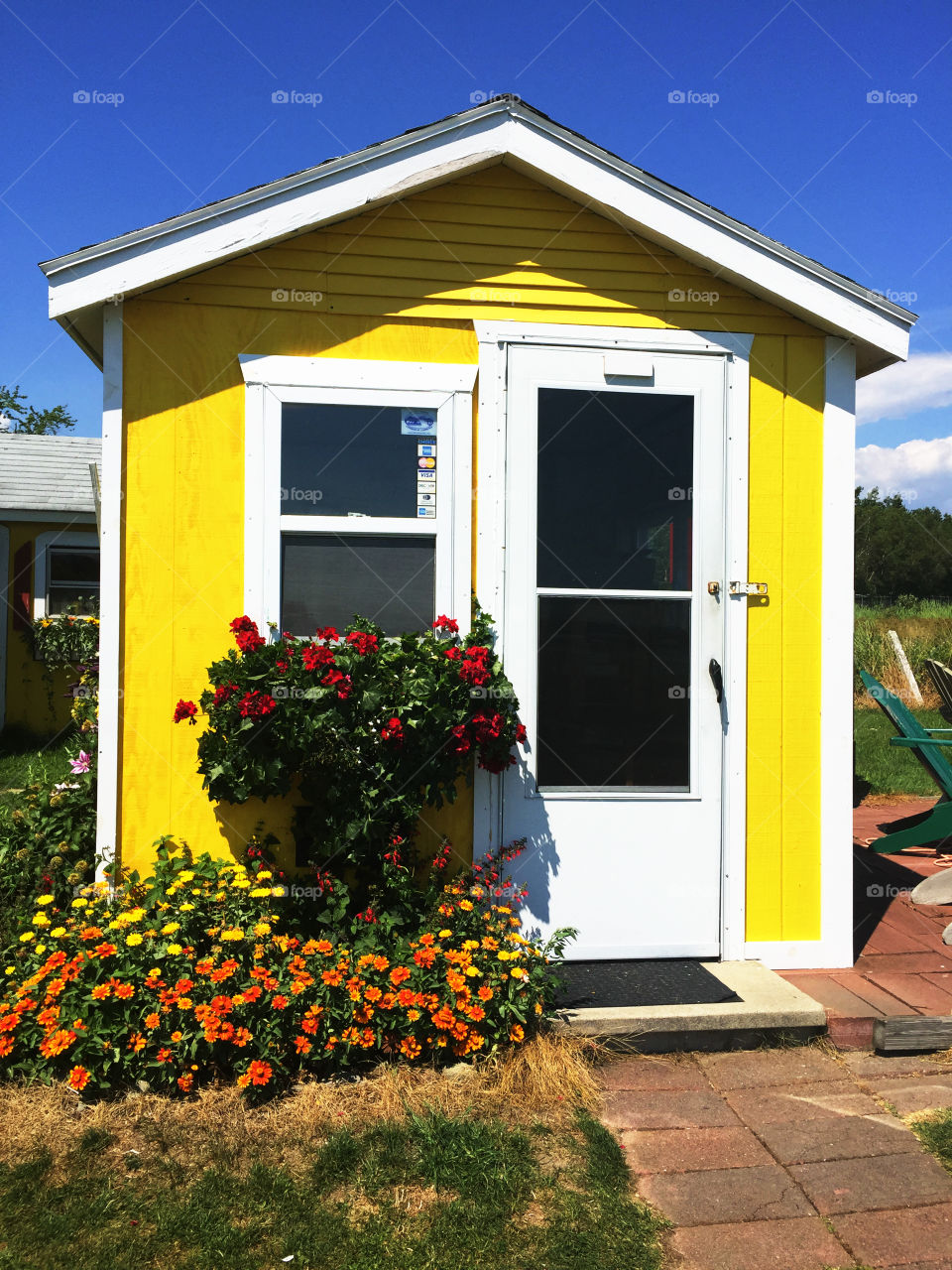 color stories a yellow cottage