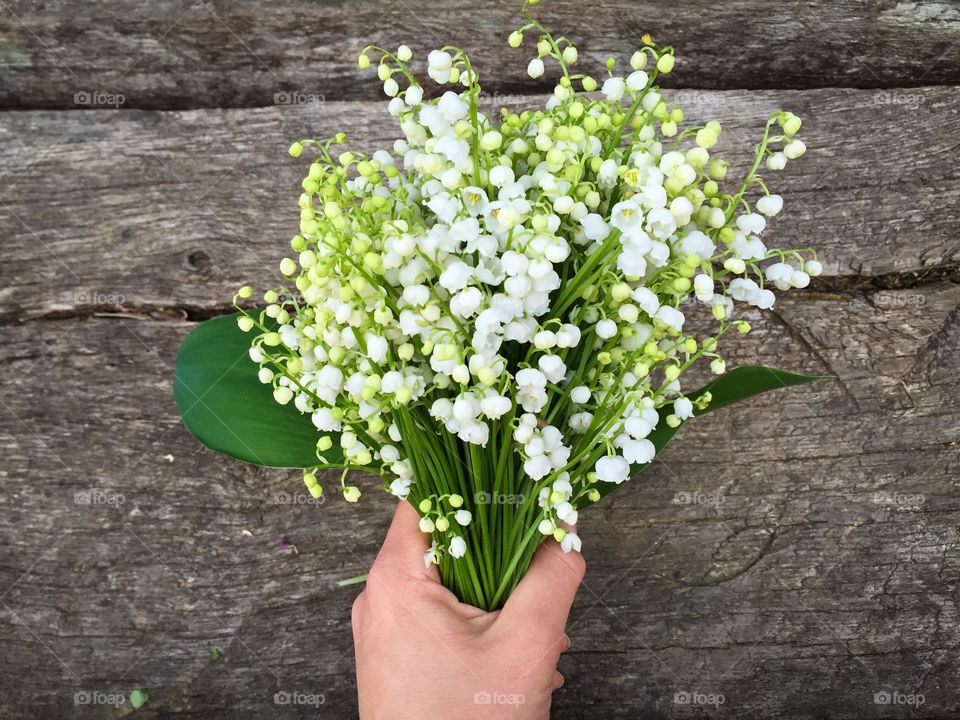 Woman's hand holding bouquet of lilies of the valley