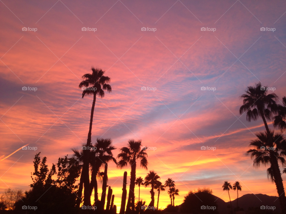 morning sunrise desert clouds palm trees sky palm desert by davidi92260