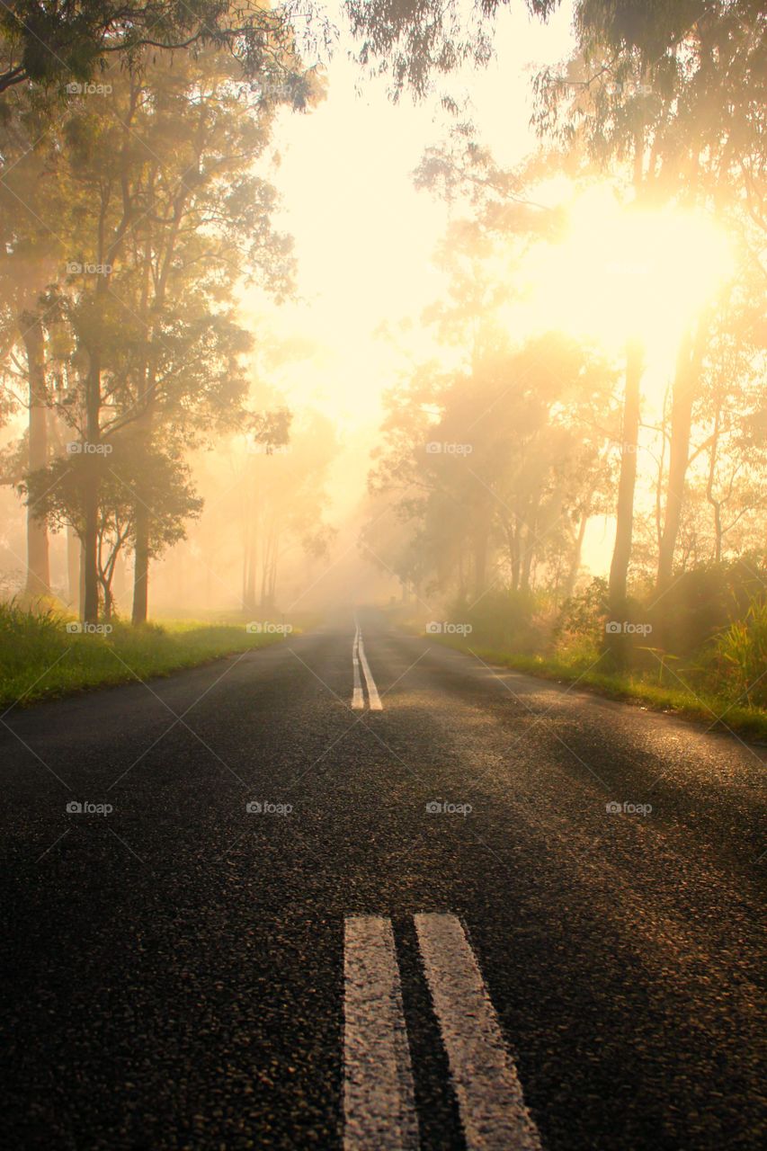 Morning view of a empty road