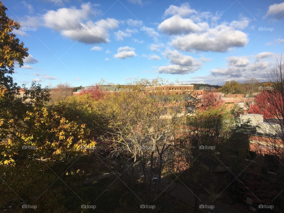 College campus in fall