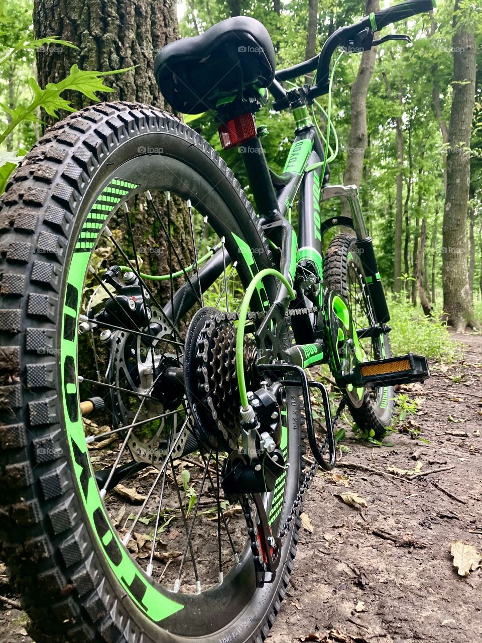 
Green bicycle for teenagers