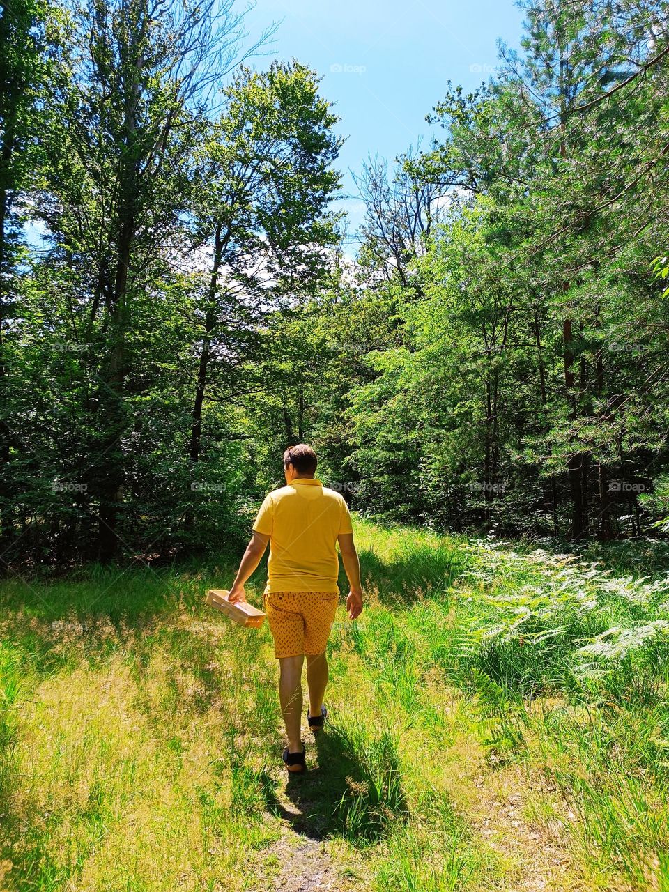 An isolated man with yellow clothes and a basket walking through a green meadow in the sunshine framed with trees