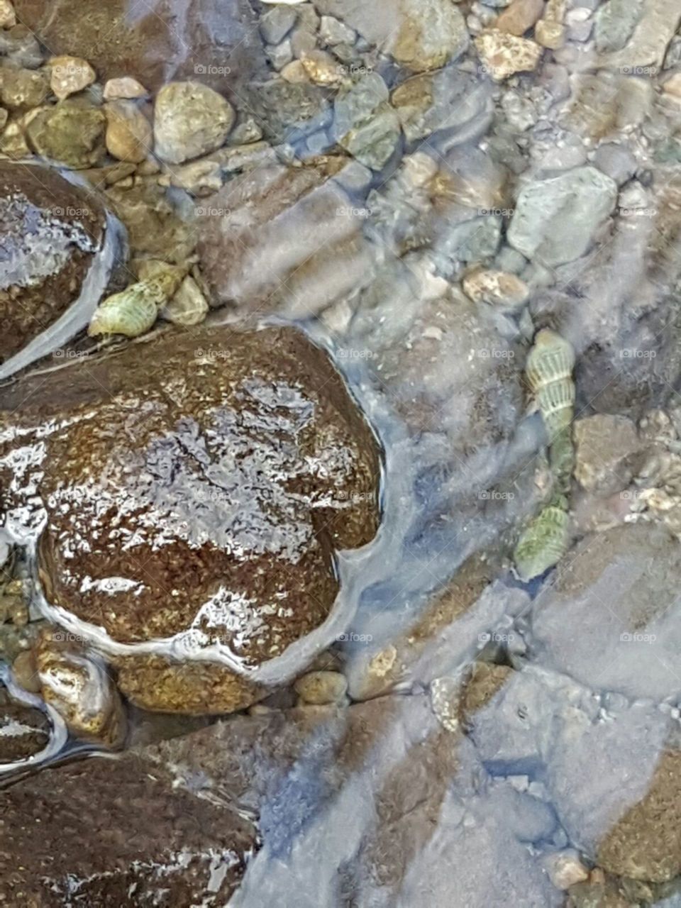 rock in stream